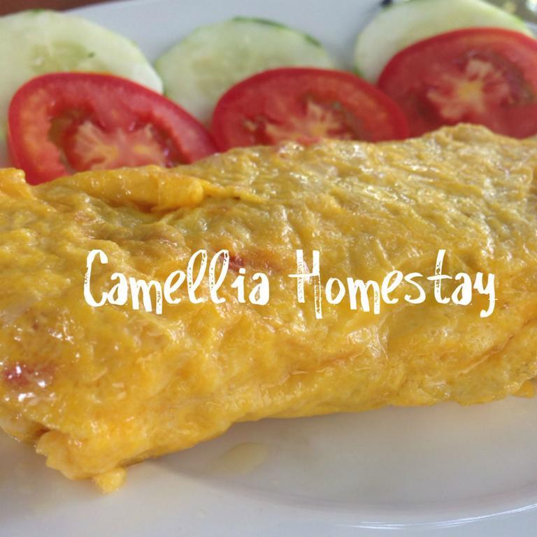 Camellia Homestay Hoi An Exterior photo