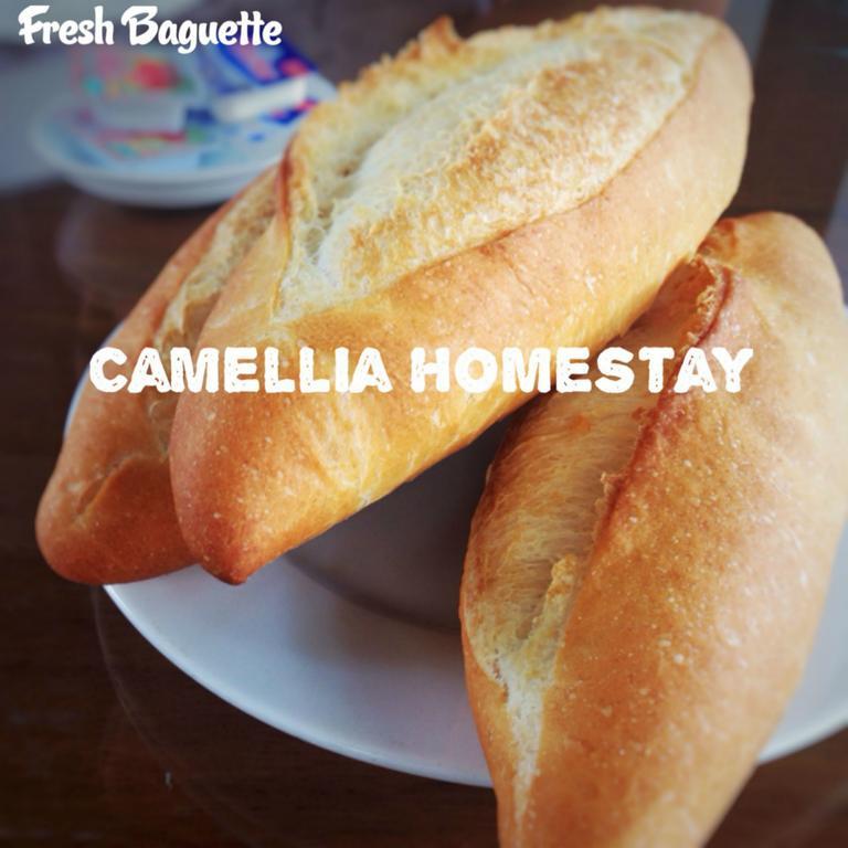 Camellia Homestay Hoi An Exterior photo